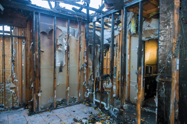 Professional Structural Rebuild technician working in Harriman, TN